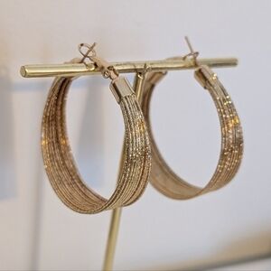 Elegant Gold Hoop Earrings